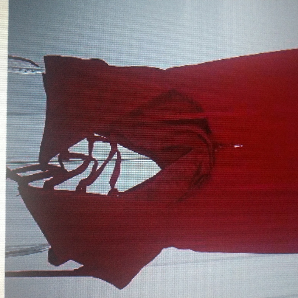 Formal Dress - Picture 5 of 6